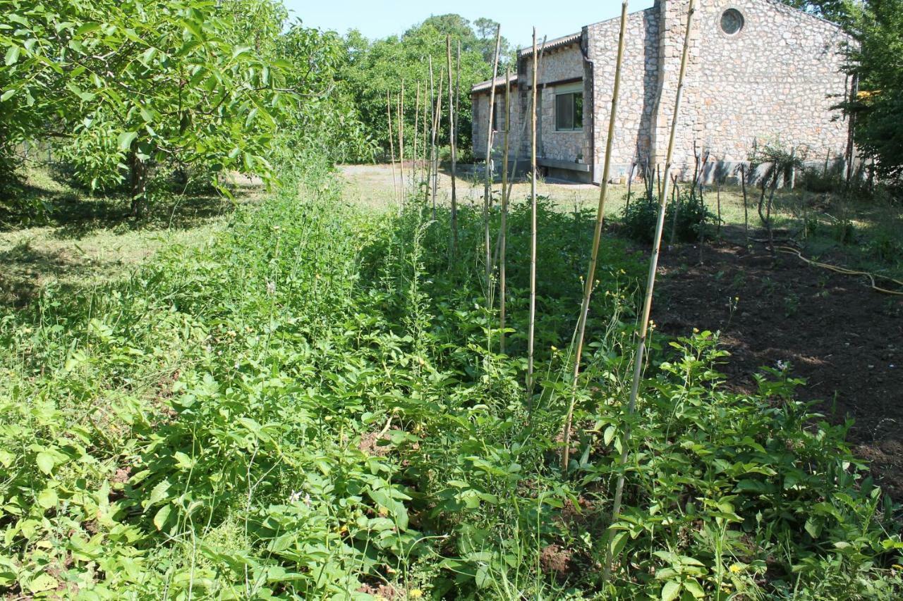 Pili Country House Екстериор снимка